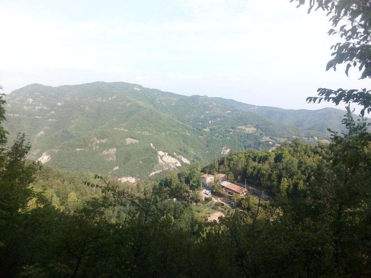 B&B Ca'Del Grillo Sant'Andrea  Exteriör bild
